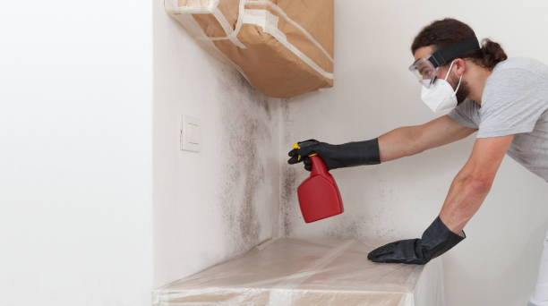 Professional Bathroom Mold Removal technician working in Lemoyne, PA
