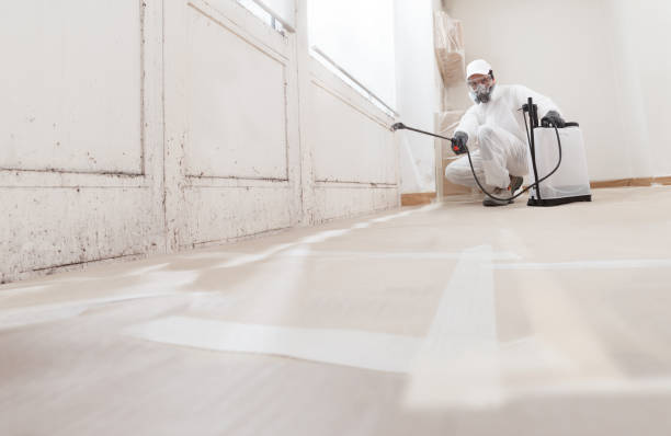 24/7 Emergency Bathroom Mold Removal experts in Lemoyne, PA